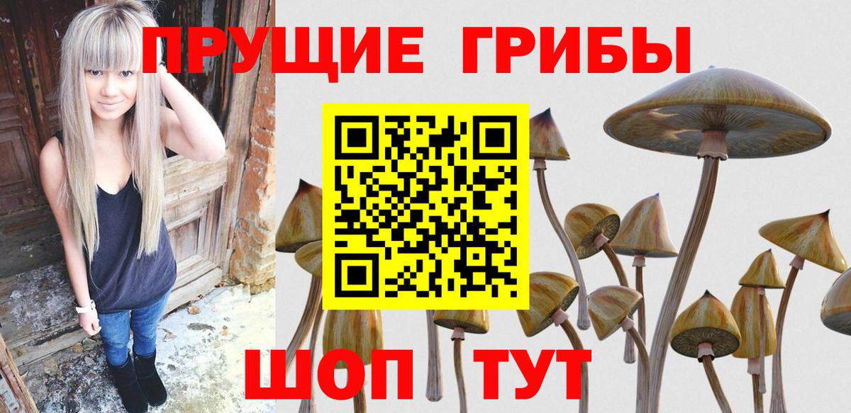 Галлюциногенные грибы Magic Shrooms  Псилоцибиновые грибы мицелий  Аргун  наркотики  Вход с VPN 