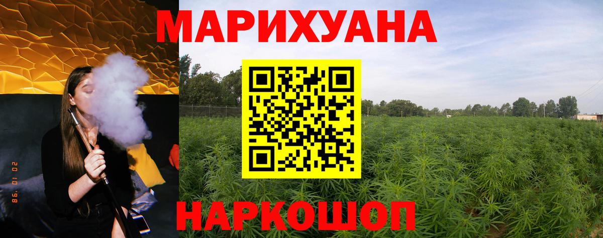 Аргун  Каннабис LSD WEED  Бошки марихуана семена  Вход с VPN  Марихуана OG Kush  Марихуана гибрид 